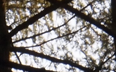 Olympus M.Zuiko Digital 14-150 mm F4-5,6