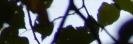 Nikon AF-S DX NIKKOR 55-200mm f/4-5.6G IF-ED VR