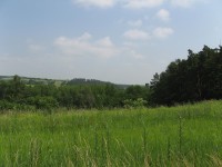 Canon PowerShot A700: Mezi kompaktem a ultrazoomem