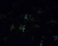 Téma pro tento měsíc - Jak fotí fotomobily, díl II.