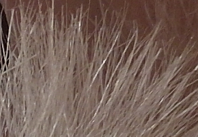 Samsung EX2F: významný krok vpřed