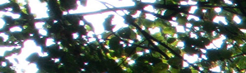 Canon EF-M 28mm f/3.5 Macro IS STM