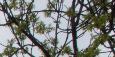 Olympus Stylus XZ-2: jednoduše skvělý