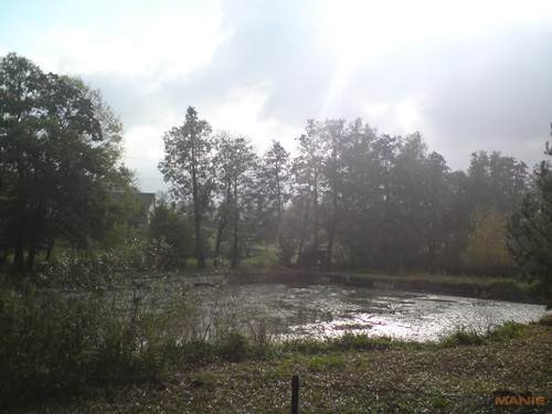 Sony Ericsson C903: kamarád se Sluncem