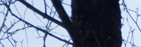 Olympus M.Zuiko Digital ED 14-42mm 1:3.5-5.6 EZ Pancake