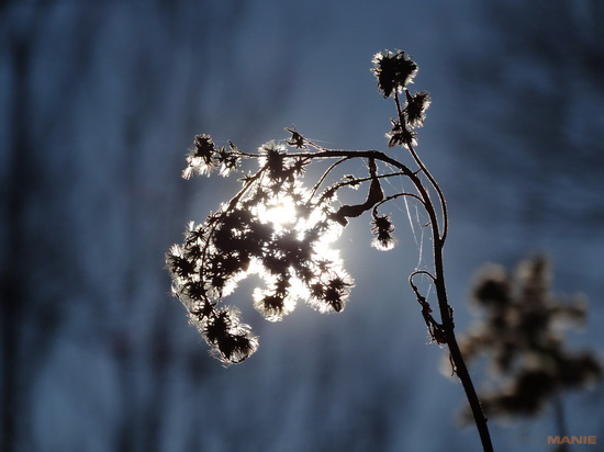 Sony Cyber-shot HX20V: umí snad všechno