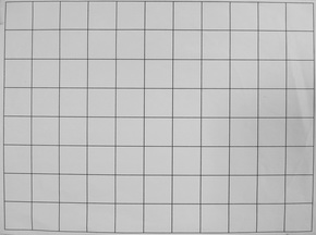 Fujifilm X-S1: jedinečný