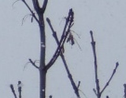 FinePix E900: Devítimilionový nadupaný kompakt