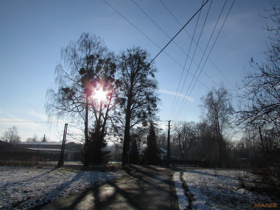 Canon PowerShot SX500 IS: fotící stroj času