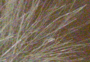 Sony NEX-5R: fázový posun k lepšímu?