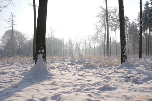 Samsung NX100: "zrcadlovka" do kapsy