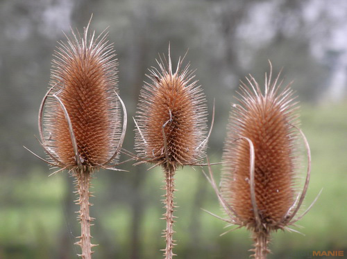 Fujifilm FinePix T200: nejlevnější ultrazoom Fuji