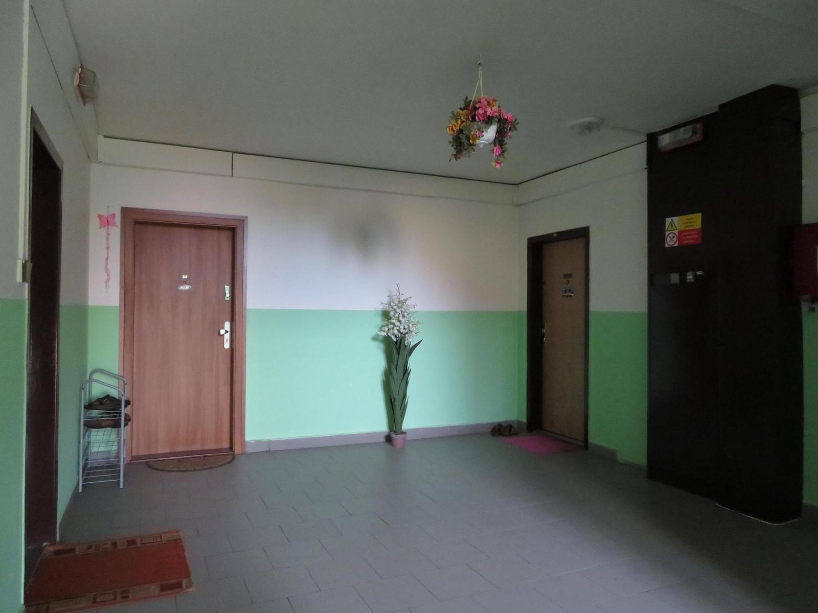 Canon PowerShot SX720 HS: kapesní šmírování