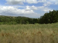 Acer CP-8660: zajímavý rebrand