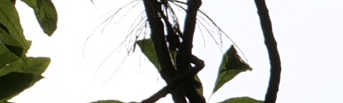 Panasonic Lumix S Pro 70-200mm F4 O.I.S.