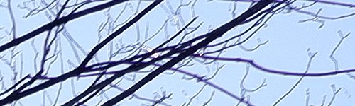 Fujinon XF 23mm F2 R WR