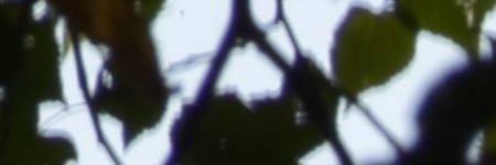 Nikon AF-S DX NIKKOR 55-200mm f/4-5.6G IF-ED VR