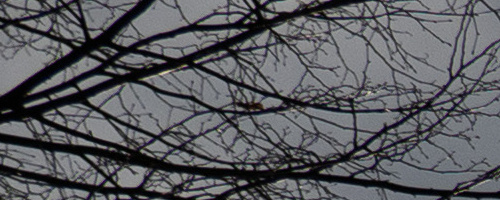 Panasonic Leica DG Vario-Summilux 25-50mm F1.7 ASPH.