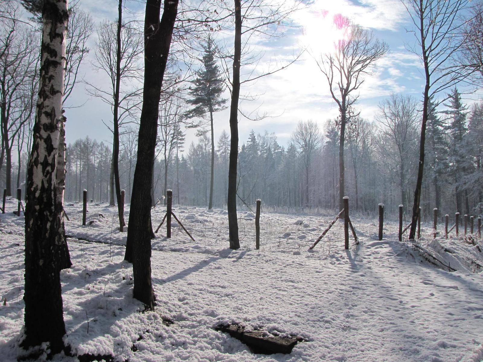 Canon PowerShot SX1 IS vs. SX10 IS: souboj CMOS a CCD