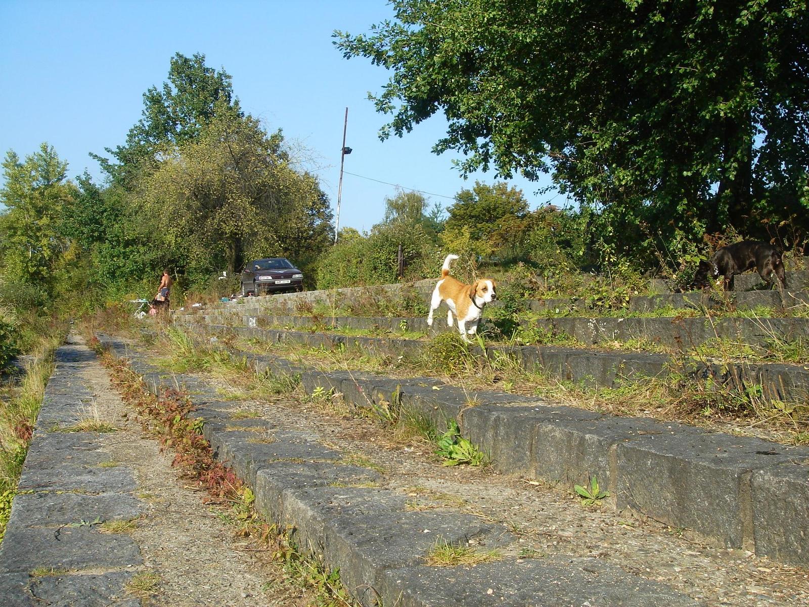 Sony T7: Placatý žravý rychlík