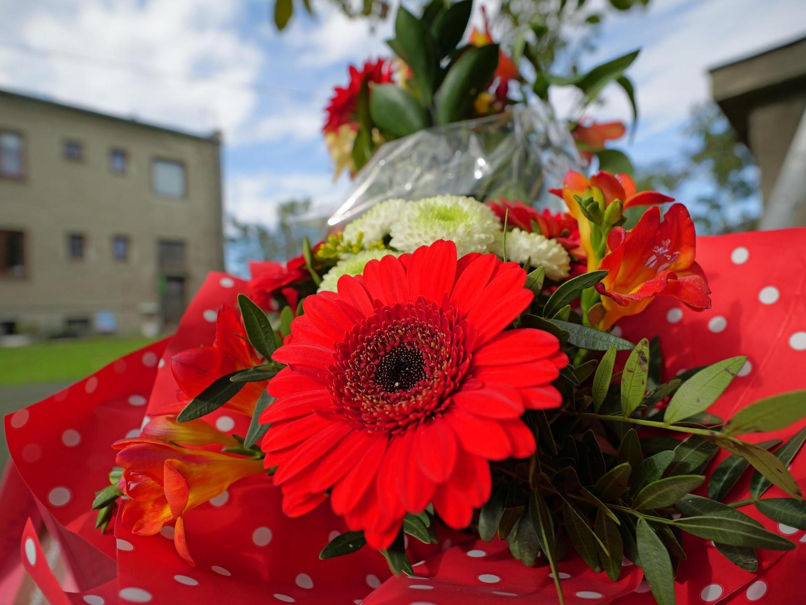 Panasonic Leica Summilux DG 9mm f/1.7 ASPH.