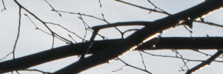 Panasonic Lumix G Vario 35-100mm F4-5.6 MEGA O.I.S.