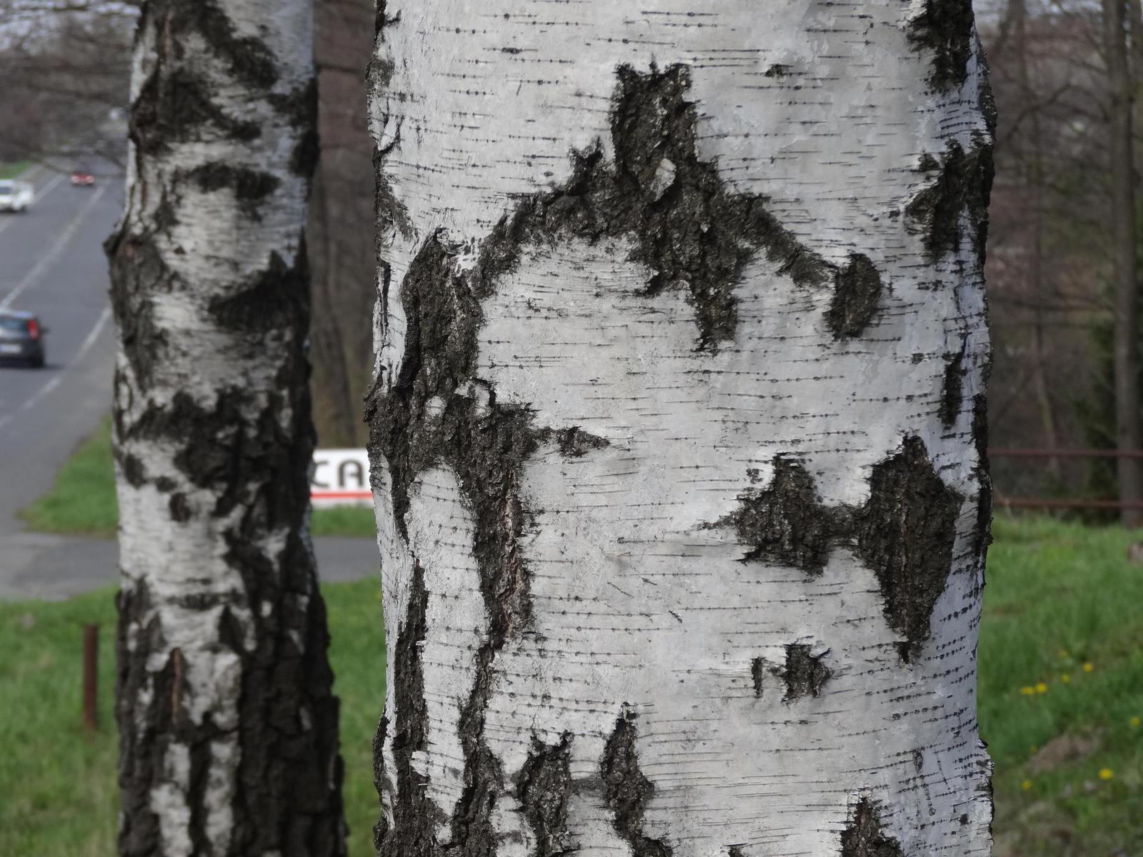 Sony Cyber-shot HX20V: umí snad všechno