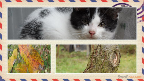 Samsung MV800: pro každý úhel i autoportréty