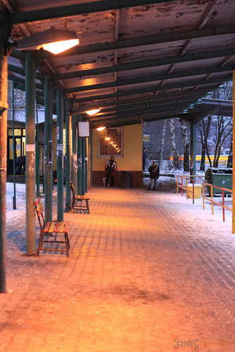 Srovnávací test pevných 50mm objektivů