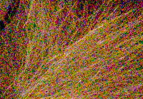 Nikon Coolpix A: velmi příjemná (ne)výraznost