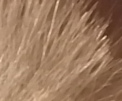 Fujifilm FinePix HS10: ultrazoom roku?