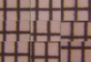 Canon EF-S 18-55mm F3,5-5,6 IS STM