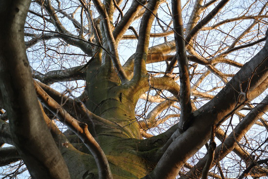 Nikon 1 NIKKOR 30-110mm 1:3,8-5,6 VR