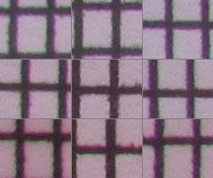 Canon PowerShot SX120 IS: zraje jako víno