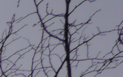 Panasonic LUMIX G VARIO 7-14mm F4.0