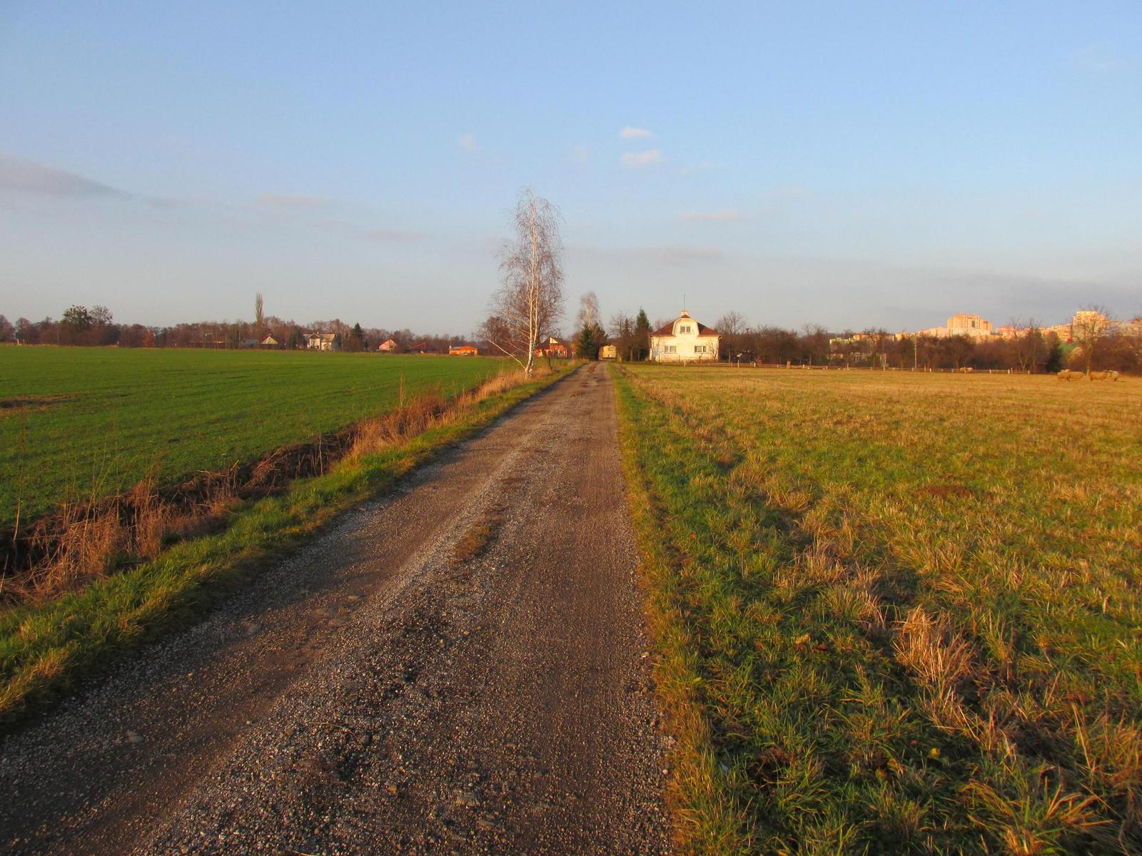 Canon PowerShot SX160 IS: více megapixelů i zoomu