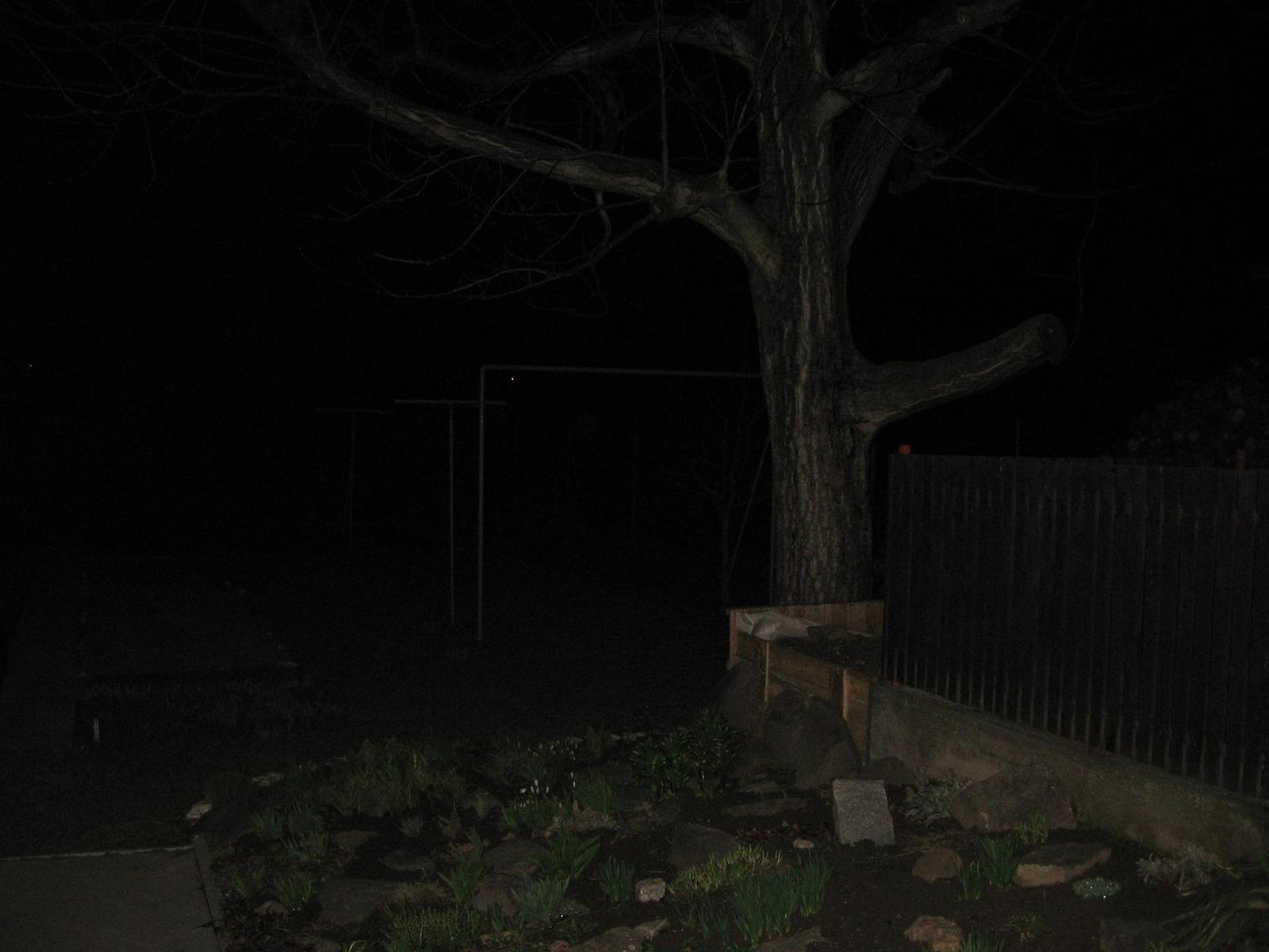 Canon PowerShot A530 - třetí z rodu