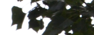 Nikon 18-55mm f/3,5-5,6G AF-S DX VR