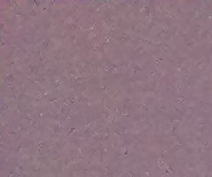 Nokia N86 8MP: s objektivem od profíka