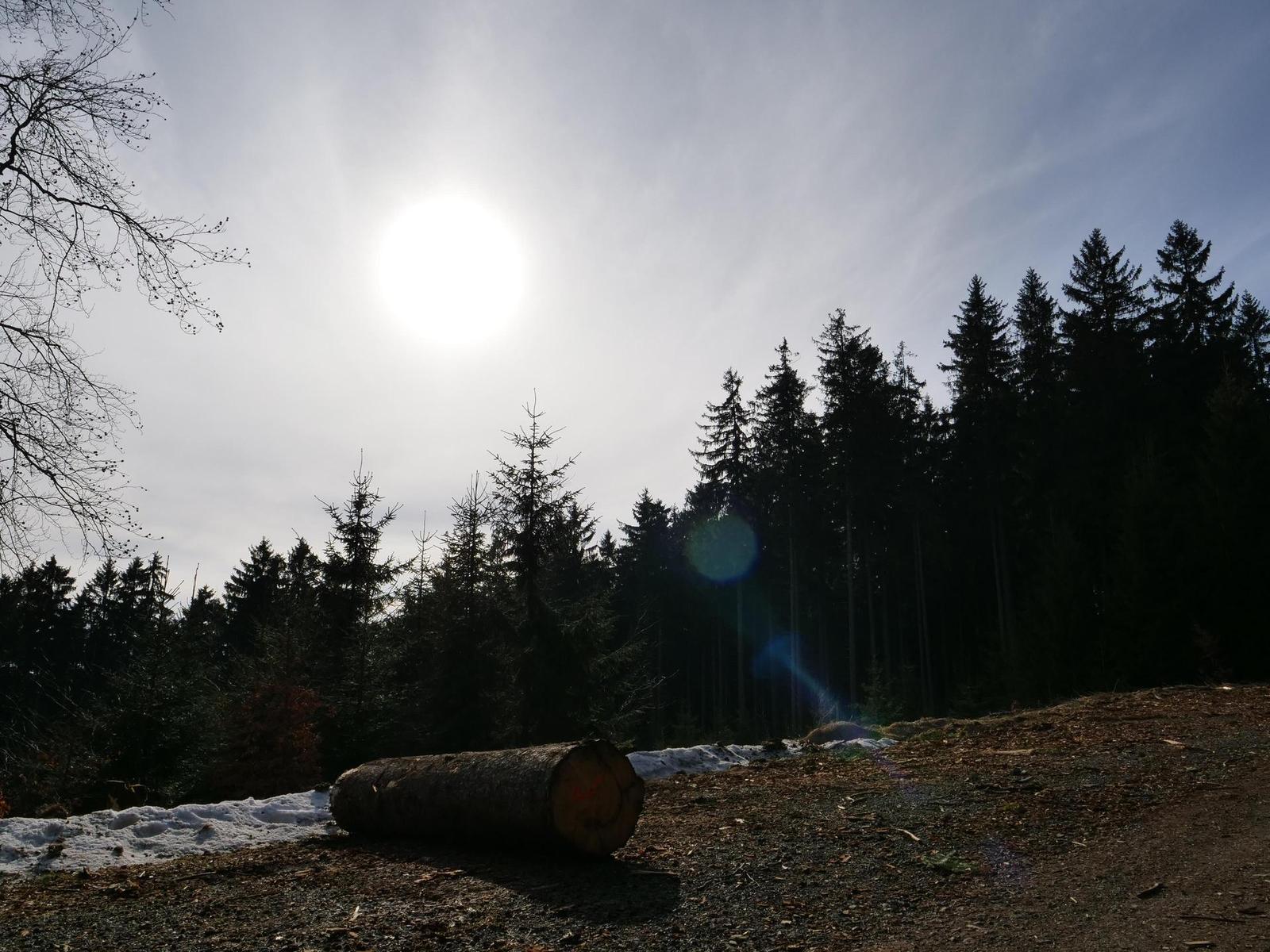 Panasonic Lumix GH5: video-profesionál