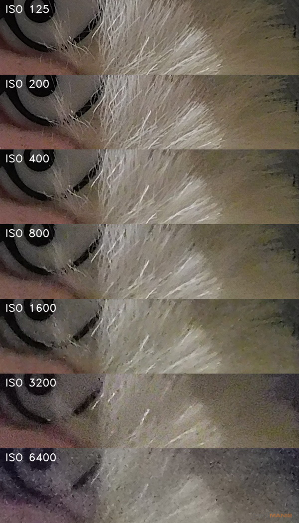 Nikon Coolpix B600: kamarád do přírody