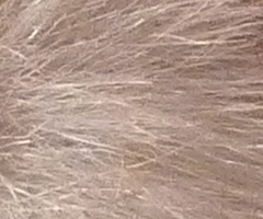 Panasonic Lumix LX3: nejtajnější přání vyslyšena