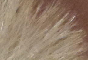 Samsung MV800: pro každý úhel i autoportréty