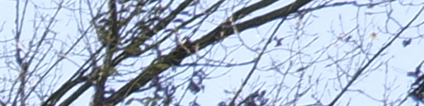 Panasonic Lumix S 18mm F1.8