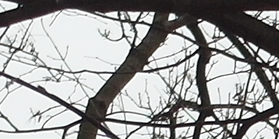 Samsung EX2F: významný krok vpřed