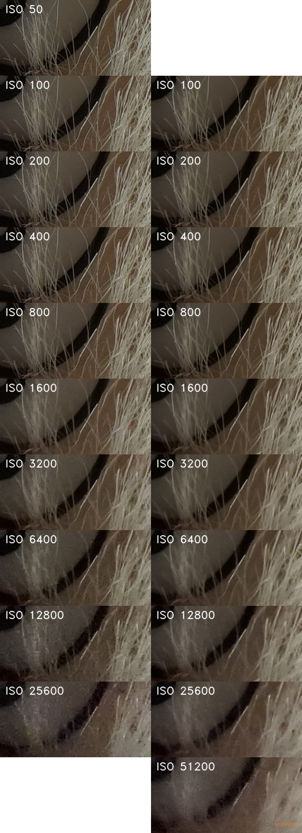 Sony A7R (ILCE-7R): postřehy z praxe