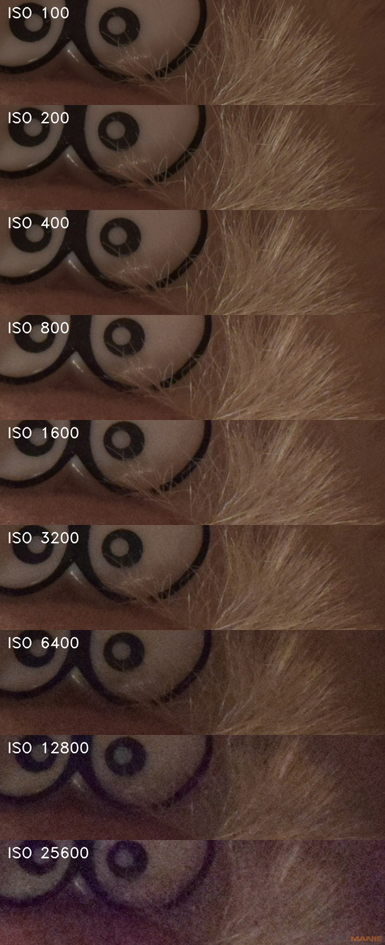 Nikon D3300: drobek se silným srdcem