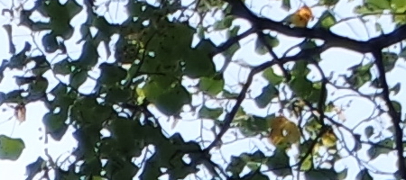 Samsung 16-50mm 1:3.5-5.6 ED OIS Power Zoom