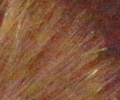 Sony SLT-A33: přesvědčivý revolucionář