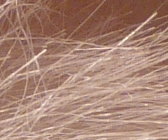 Panasonic Lumix FZ45 a FZ100: na vrcholu